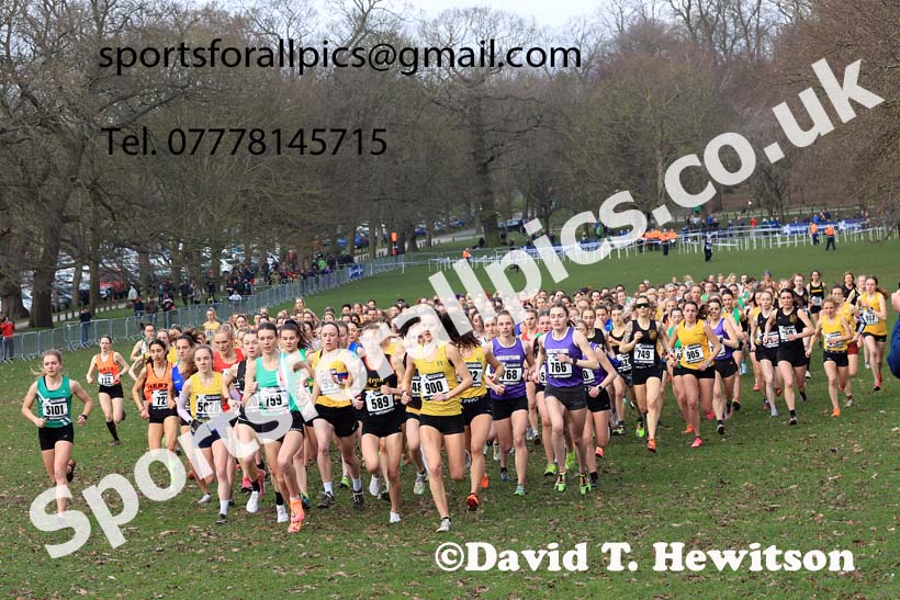 Senior Women, 2024 CAU Inter Counties Cross Country Champs., Wollaton Park, Nottingham. Photo: David T. Hewitson/Sports for All Pics
